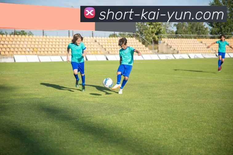 kaiyuntiyu全站App